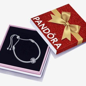 Pandora Sparkling Herbarium Gift Set Charm Bracelets Sterling Silver | ZPR-209815