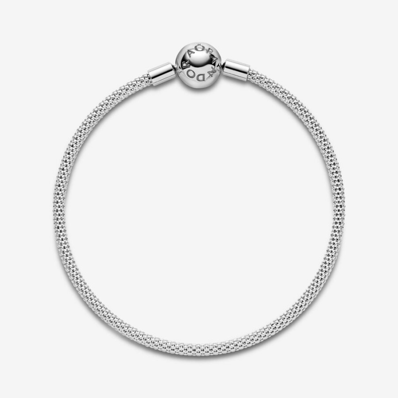 Pandora Moments Mesh Charm Bracelets Sterling Silver | AMP-538096