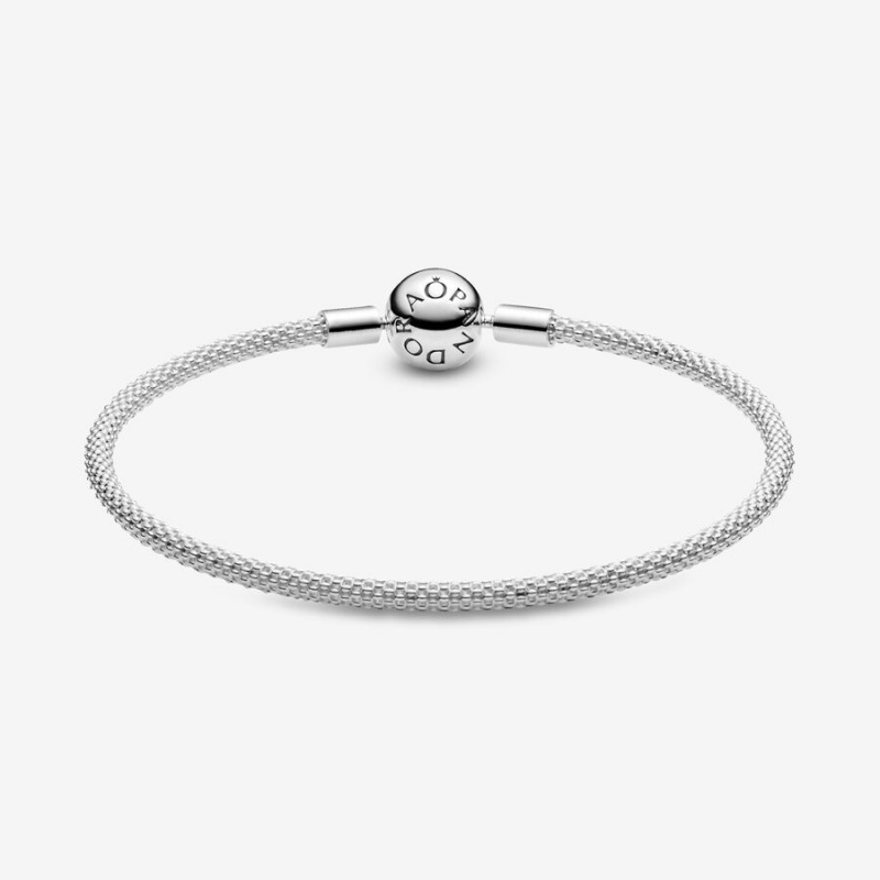 Pandora Moments Mesh Charm Bracelets Sterling Silver | AMP-538096