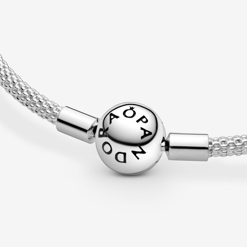 Pandora Moments Mesh Charm Bracelets Sterling Silver | AMP-538096