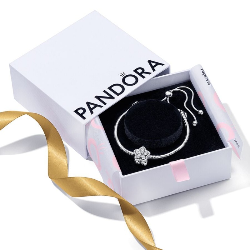 Pandora Sparkling Snowflake Sliding Set Charm Bracelets Sterling Silver | ZGM-156928